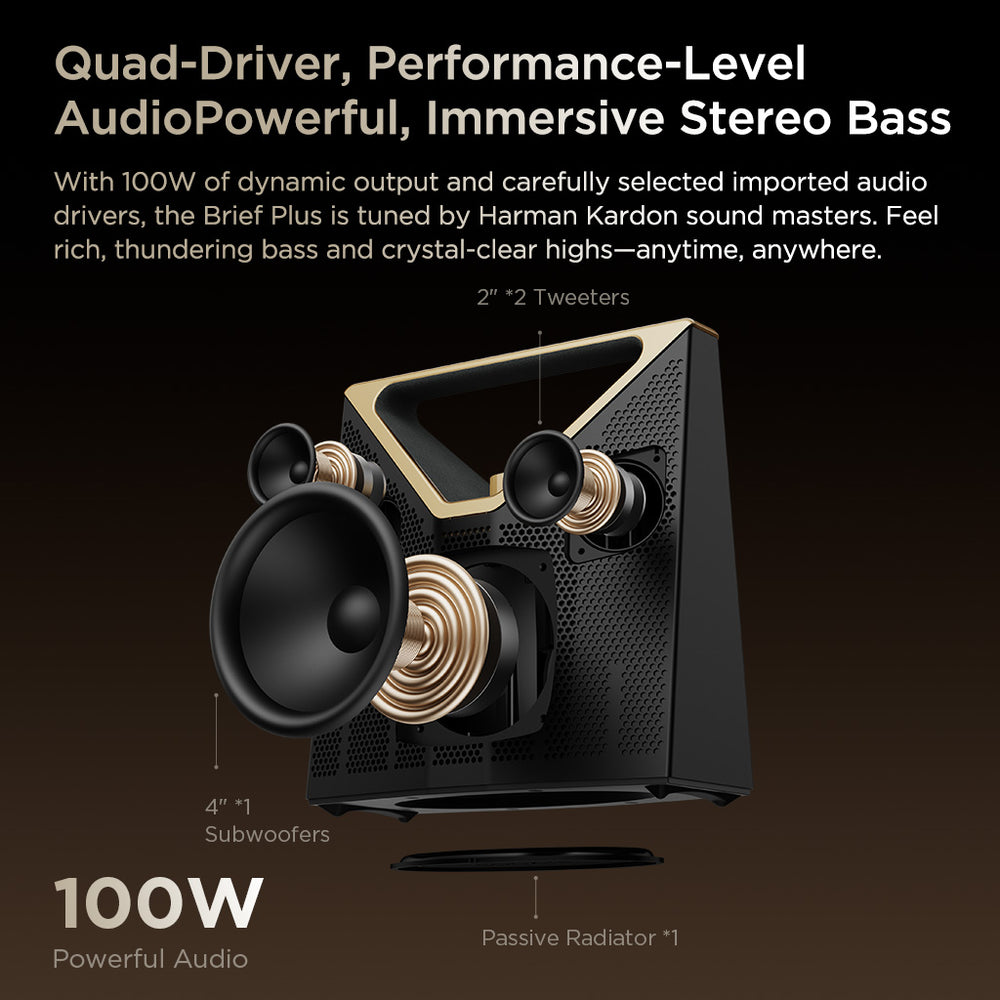 100W Powerful Audio