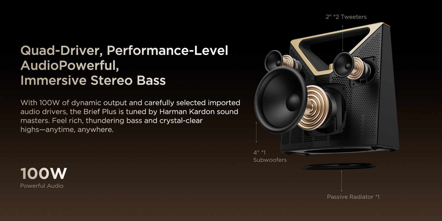 100W Powerful Audio