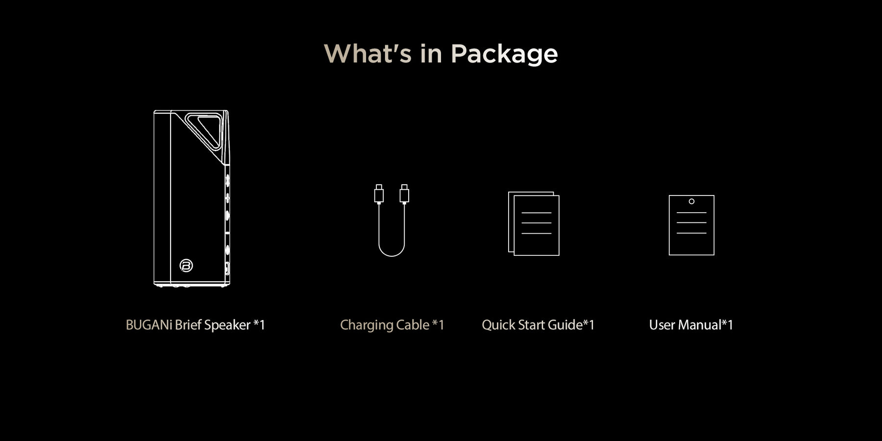 What's in Package