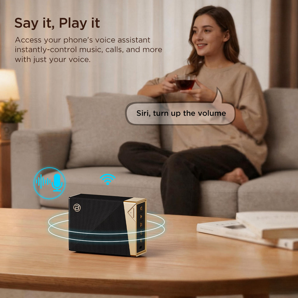 Voice Assistant Supported