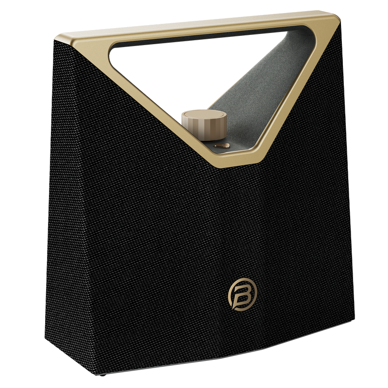 BUGANi Brief Plus Portable Bluetooth Speaker with 100+ Broadcast Connection Support