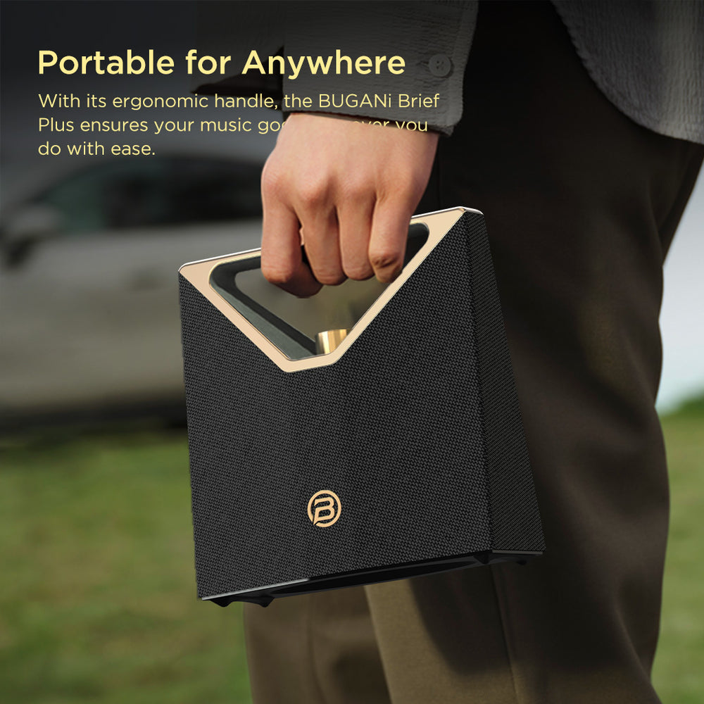 Portable Handle