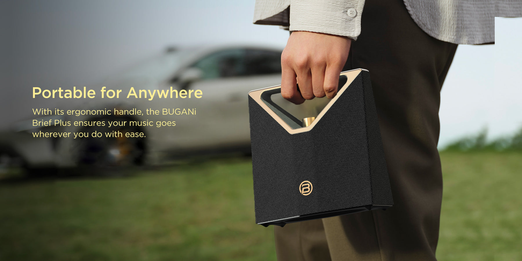 Portable Handle