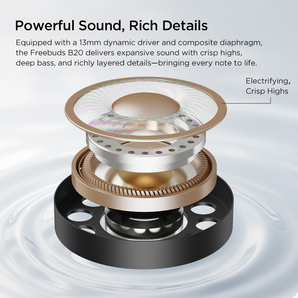 13mm Dynamic Driver