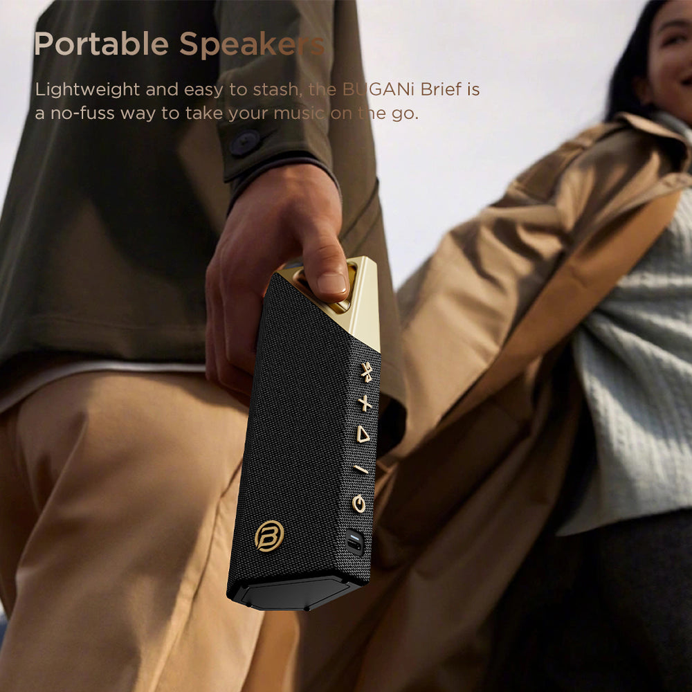 Portable Handle