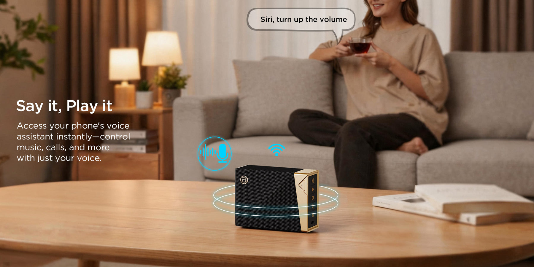 Voice Assistant Supported